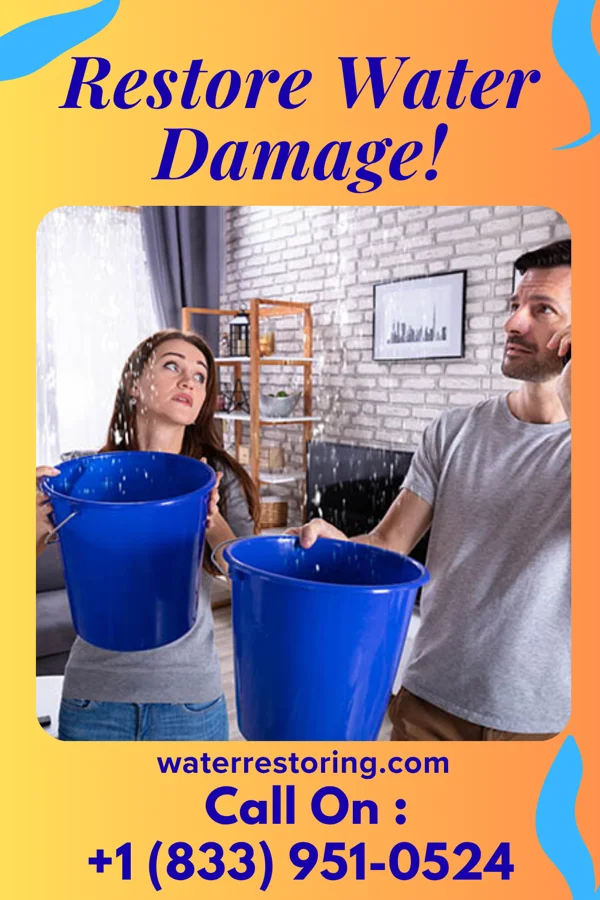 water restoration Sentinel Recovery Masters Burnsville